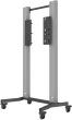 FSW-V600